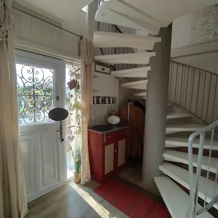 15 Mn A Pied Du Circuit Des 24h Du Mans *